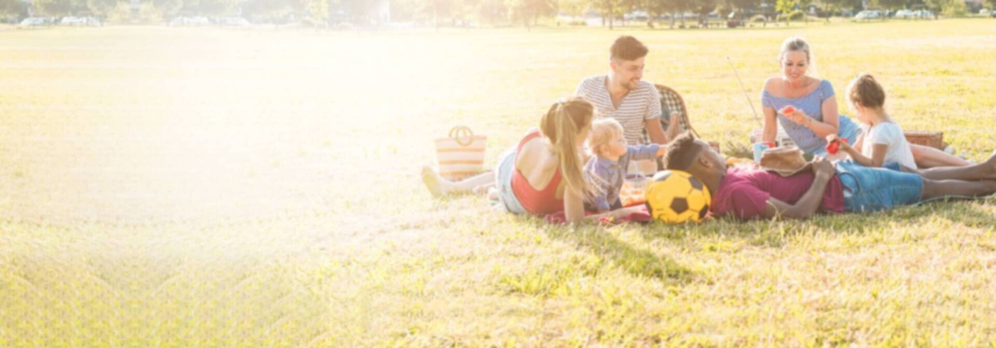 Group of friends enjoying a picnic on a sunny day in the park.