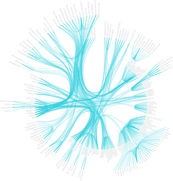 Circular organizational chart with interconnected hierarchical nodes.