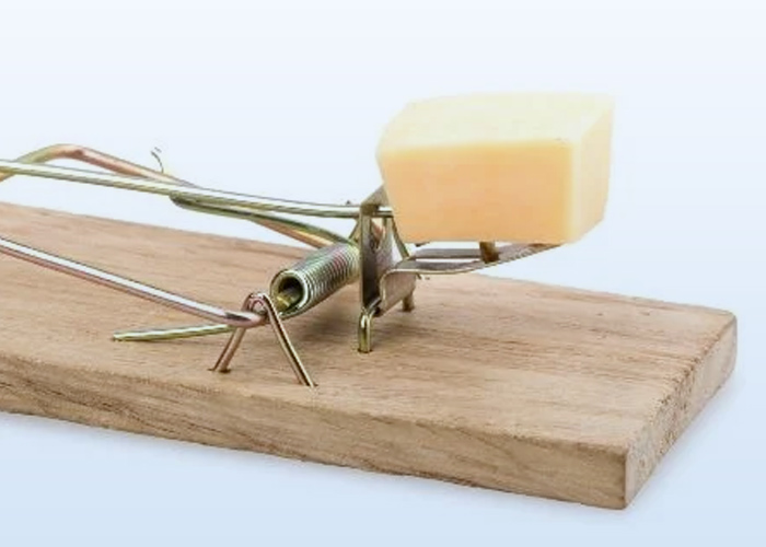 Close-up of a metal mousetrap with a piece of cheese on a wooden base.