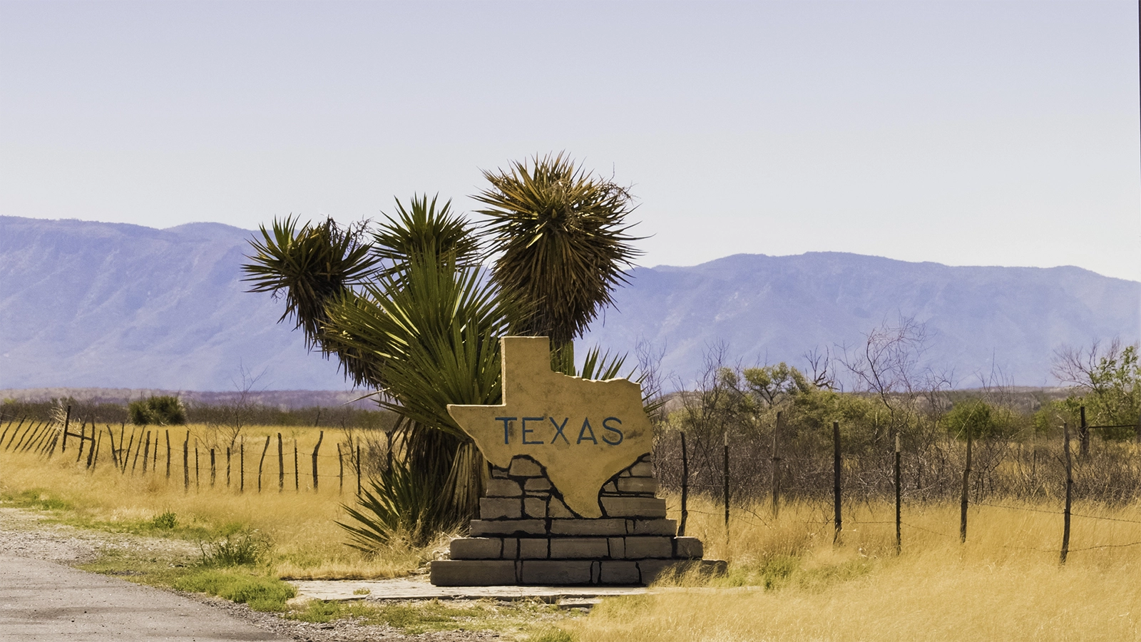 Texas SB 140 changes marketing for regulated brands